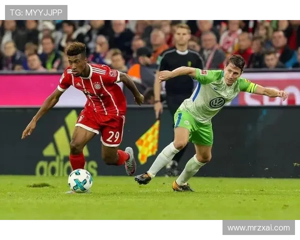 德甲球队资料卡全面整理与信息汇总